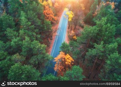 Aerial view of road in beautiful spring forest at sunset. Beautiful landscape with empty rural road, trees with green and orange leaves. Highway through the park. Top view from flying drone. Nature. Aerial view of road in beautiful green forest at sunset