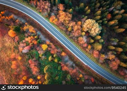 Aerial view of road in colorful autumn forest at sunset. View from above of mountain road in woods. Beautiful landscape with roadway, trees with orange and red leaves in fall in Ukraine. Top view