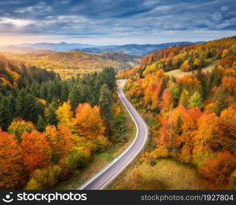 Aerial view of road in colorful forest at sunset in autumn. Top view from drone of mountain road in woods. Beautiful landscape with roadway, blue sky, trees with red and orange leaves in fall. Travel