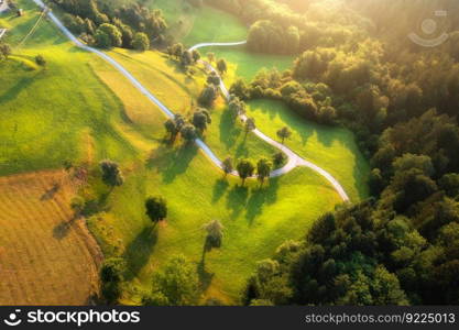 Aerial view of road in green alpine meadows and hills at sunset in summer. Top view from drone of rural road, forest. Beautiful landscape with roadway, trees, green grass, sunlight in Slovenia. Nature