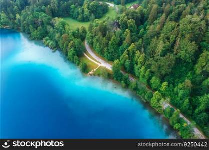 Aerial view of road near blue lake, green forest at sunrise in summer. Bled lake, Slovenia. Travel. Top view of beautiful road, trees in spring. Landscape with highway and sea bay. Road trip. Nature