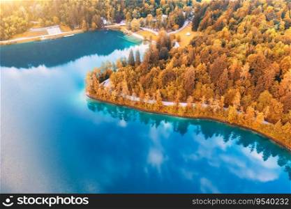 Aerial view of road near blue lake, red forest at sunrise in autumn. Bled lake, Slovenia. Travel. Top view of beautiful rural road, orange trees in fall. Landscape with highway and sea bay. Nature