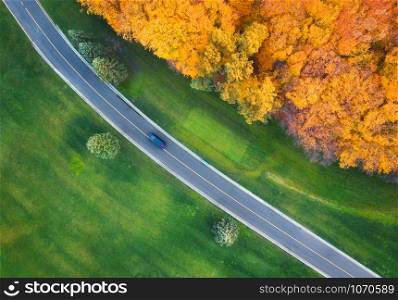Aerial view of road through beautiful green field and orange forest at sunset in autumn. Beautiful landscape with rural road, car, trees, green grass. Highway in fall. Top view from drone. Nature