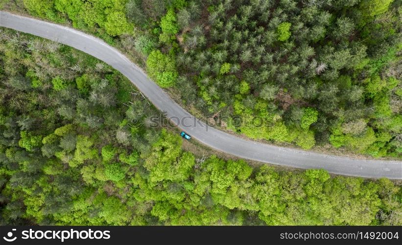 Aerial view of road through forest