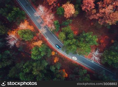 Aerial view of road with blurred car in autumn forest. Amazing landscape with rural road, trees with green, red and orange leaves in day. Highway through the park. Top view from flying drone. Nature