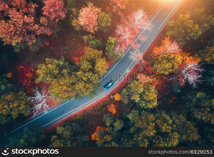 Aerial view of road with blurred car in autumn forest at sunset. Amazing landscape with rural road, trees with red and orange leaves in day. Highway through the park. Top view from flying drone.Nature