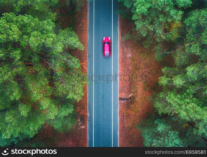 Aerial view of road with blurred car in summer forest at sunset. Amazing landscape with rural road, trees with green leaves in sunny day. Highway through the park. Top view from flying drone. Nature. Aerial view of road with blurred car in green forest