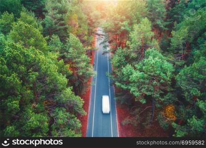 Aerial view of road with blurred car in summer forest at sunset. Amazing landscape with rural road, trees with green leaves in sunny day. Highway through the park. Top view from flying drone. Nature. Aerial view of road with blurred car in green forest