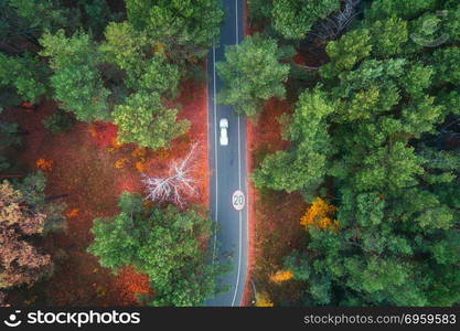 Aerial view of road with blurred car in summer forest at sunset. Amazing landscape with rural road, trees with green leaves in sunny day. Highway through the park. Top view from flying drone. Nature. Aerial view of road with blurred car in green forest