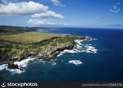 Aerial view of rocky Maui, Hawaii coastline with crop fields.