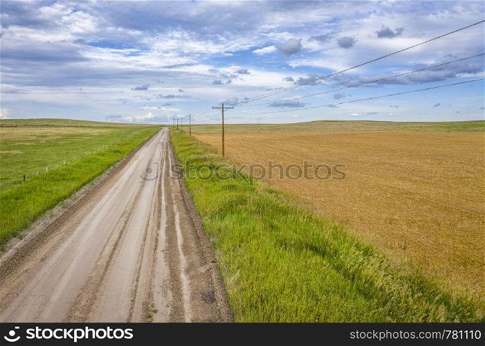 aerial view of rural Nebraska landscape with a farm road and wheat fields