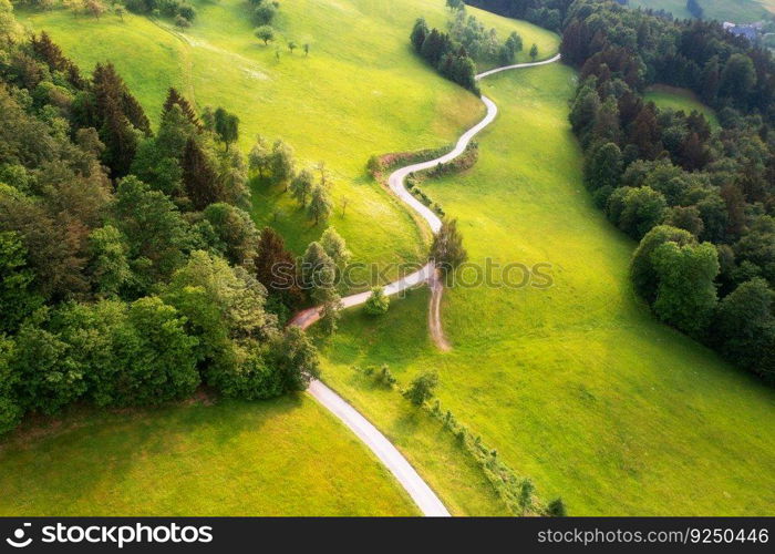 Aerial view of rural road in green alpine meadows and hills at sunset in summer. Top view from drone of country road, trees. Beautiful landscape with roadway, green grass, sunlight in Slovenia. Nature