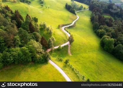 Aerial view of rural road in green alpine meadows and hills at sunset in summer. Top view from drone of country road, trees. Beautiful landscape with roadway, green grass, sunlight in Slovenia. Nature