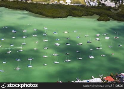 Aerial view of sailboats in the sea, Florida Keys, Florida, USA