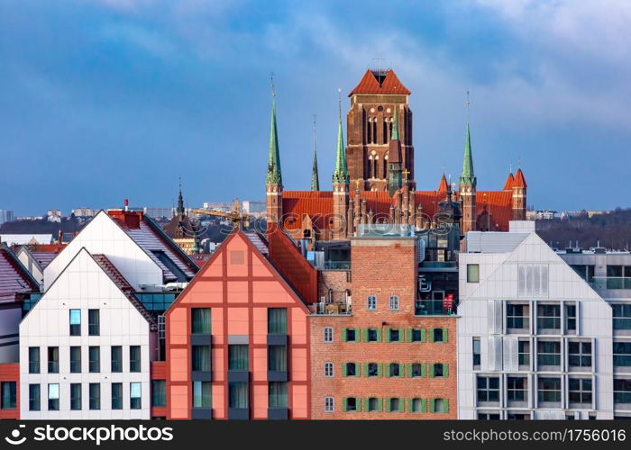 Aerial view of Saint Mary Church in Old Town of Gdansk, Poland. St Mary Church in Gdansk, Poland