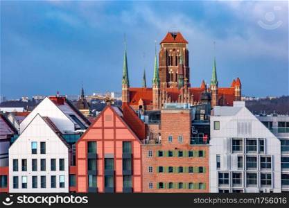 Aerial view of Saint Mary Church in Old Town of Gdansk, Poland. St Mary Church in Gdansk, Poland