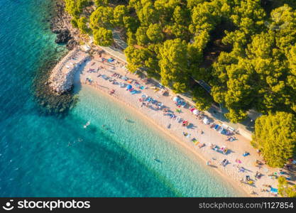 Aerial view of sandy beach with colorful umbrellas, lying people, clear sea bay with transparent blue water and green trees at sunny day in summer. Travel in Croatia, Adriatic sea. Top view. Seascape