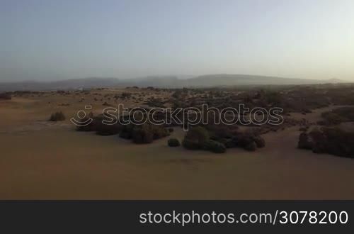 Aerial view of sandy surface with dunes and green bushes. Landscapes of Gran Canaria