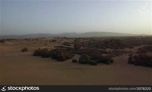 Aerial view of sandy surface with dunes and green bushes. Landscapes of Gran Canaria