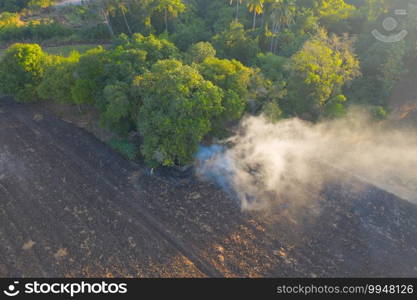 Aerial view of smoke from fire burning in the forest with green trees in Bangkok City, Thailand. Nature landscape background in air pollution and environment concept. Global warming