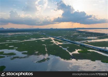 Aerial view of swamp or lagoon in Phang Nga Bay, lake, sea or river in national park and mountain or hill in Thailand. Natural landscape background.