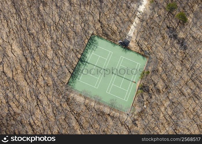 Aerial view of tennis court in bare wooded area.