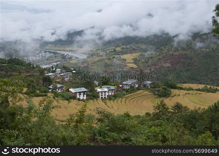 Aerial view of terraced field, Punakha Valley, Punakha District, Bhutan