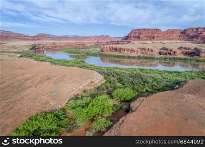 aerial view of the canyon of Colorado River below Moab, Utah with green riparian vegetation