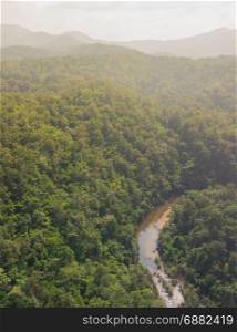 Aerial view of the river in forest