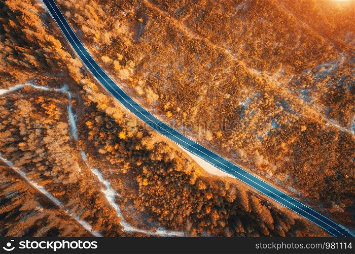 Aerial view of the road in beautiful autumn forest at sunset. Top view of perfect asphalt roadway, trees with orange foliage in fall. Colorful landscape with highway through the woodland. Travel. Aerial view of the road in beautiful autumn forest at sunset