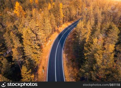 Aerial view of the road in beautiful autumn forest at sunset. Top view of perfect asphalt roadway, trees with orange foliage in fall. Colorful landscape with highway through the woodland. Travel. Aerial view of the road in beautiful autumn forest at sunset