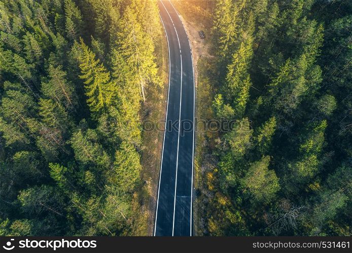 Aerial view of the road in beautiful spring forest at sunset in Dolomites. Top view of perfect asphalt roadway, green pine trees. Natural landscape with highway through the woodland in europe. Travel