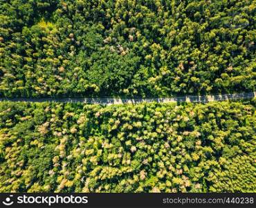 Aerial view of the road through the deciduous forest is a fine summer day. Nature conservation concept.. Aerial view of a drone on a green forest with asphalt road on a sunny day. Natural layout for your ideas.