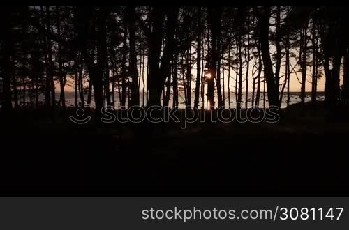 Aerial view of the sunset in the sea through the trees in summer