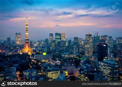 Aerial view of Tokyo cityscape at night in Japan.