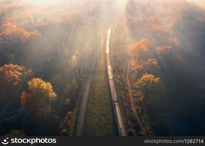 Aerial view of train in beautiful forest in fog at sunrise in autumn. Moving passenger train in fall. Colorful landscape with railroad, foggy trees with orange leaves, mist. Top view. Railway station