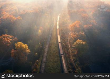 Aerial view of train in beautiful forest in fog at sunrise in autumn. Moving passenger train in fall. Colorful landscape with railroad, foggy trees with orange leaves, mist. Top view. Railway station