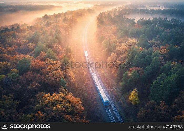 Aerial view of train in beautiful forest in fog at sunrise in autumn. Commuter train in fall. Colorful landscape with railroad, foggy trees with vibrant foliage, sunbeams. Top view. Railway station