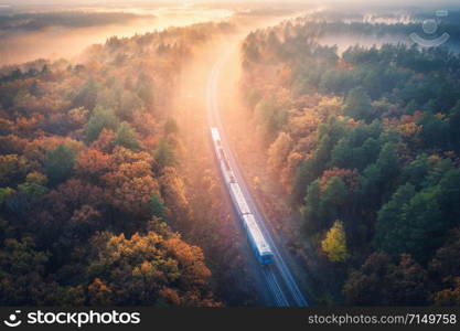 Aerial view of train in beautiful forest in fog at sunrise in autumn. Commuter train in fall. Colorful landscape with railroad, foggy trees with vibrant foliage, sunbeams. Top view. Railway station
