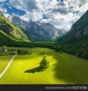 Aerial view of tree in green alpine meadows in mountains at sunset in summer in Logar valley, Slovenia. Beautiful view of field, green grass, forest, rocks, blue sky with clouds and sunlight. Nature