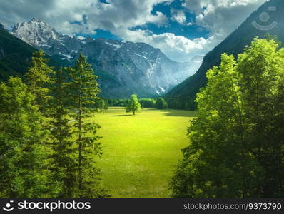 Aerial view of tree in green alpine meadows in mountains at sunset in summer in Logar valley, Slovenia. Top drone view of field, green grass, forest, rocks, blue sky with clouds and sunlight. Nature