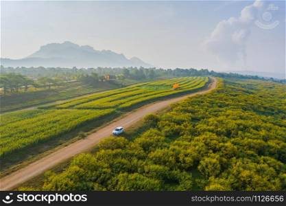 Aerial view of Tree Marigold or yellow flowers in national garden park and mountain hills with blue sky in Lumpang province, Thailand. Nature landscape background in travel trip and vacation concept.