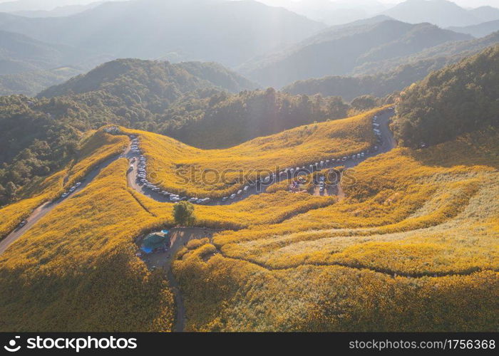 Aerial view of tree Marigold or yellow flowers in national garden park and mountain hills in Mae Hong Son, Thailand. Nature landscape in travel trip and vacation. Thung Bua Tong at Doi Mae U Kho.