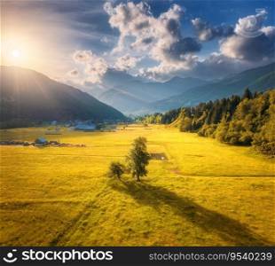 Aerial view of trees in alpine meadows in mountain valley at sunset in autumn. Slovenia. Top drone view of fields, yellow grass, forest, mountains, blue sky with clouds and golden sunlight in fall