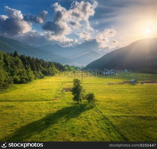 Aerial view of trees in green alpine meadows in mountain valley at sunset in Slovenia. Top drone view of fields, green grass, forest, mountains, blue sky with clouds and golden sunlight. Nature