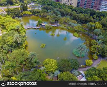 Aerial view of trees in Taipei park garden and reflection of skyscrapers buildings. Green area in smart urban city at noon, Taiwan.