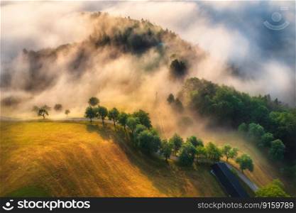 Aerial view of trees on alpine meadows and mountains in low clouds at amazing sunrise in summer. Top drone view of hills with green grass and trees in fog in Slovenia. Nature. Mountain valley
