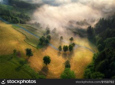 Aerial view of trees on alpine meadows and mountains in low clouds at amazing sunrise in summer. Top drone view of hills with green grass and trees in fog in Slovenia. Nature. Mountain valley