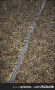 Aerial view of two lane road through barren rural forest.