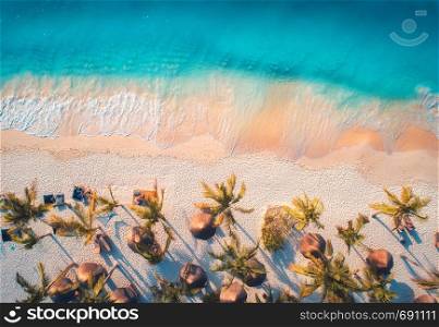 Aerial view of umbrellas, palms on the sandy beach of blue sea at sunset. Summer travel in Zanzibar, Africa. Tropical landscape with palm trees, parasols, people, sand, waves. Top view from the air